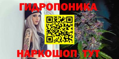 а пвп мука Свободный