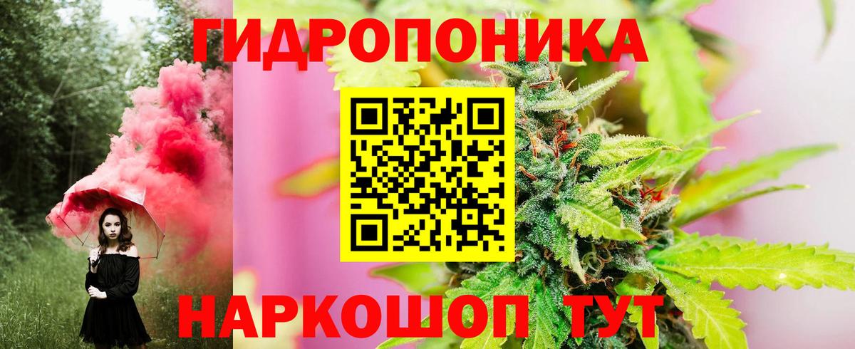 Бошки марихуана семена  Конопля тримм  Кулебаки  Вход с VPN 